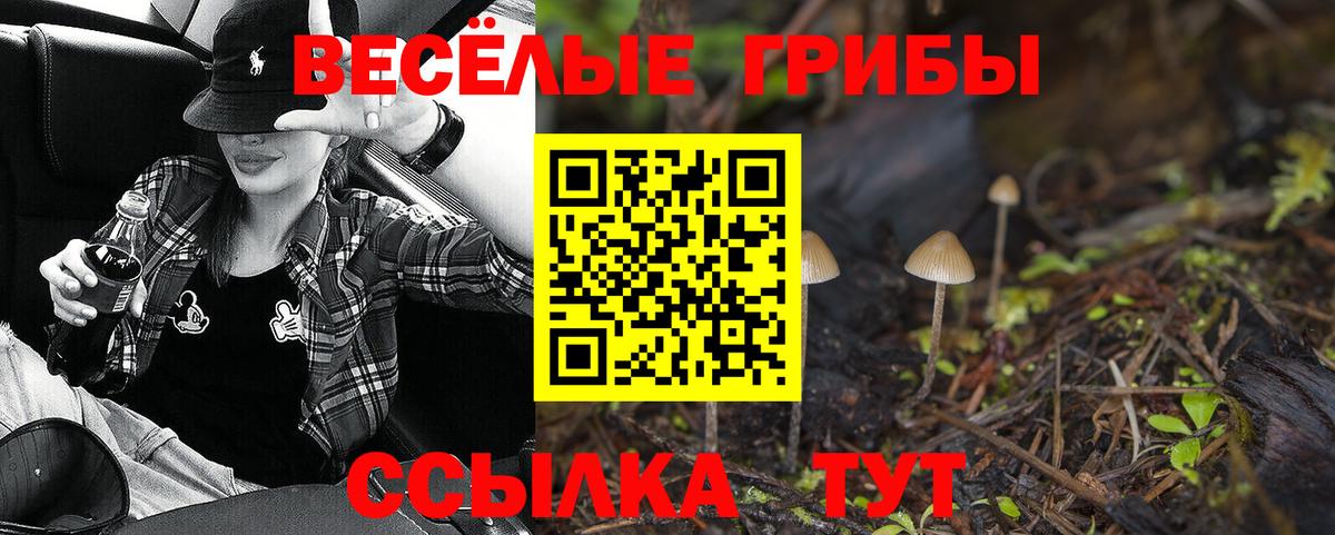 Ангарск  Галлюциногенные грибы Cubensis  Псилоцибиновые грибы Psilocybe  что такое   Вход с VPN 